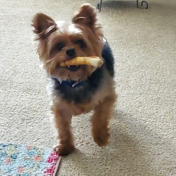 Meet your Posher, Mel - Picture 6 of 8